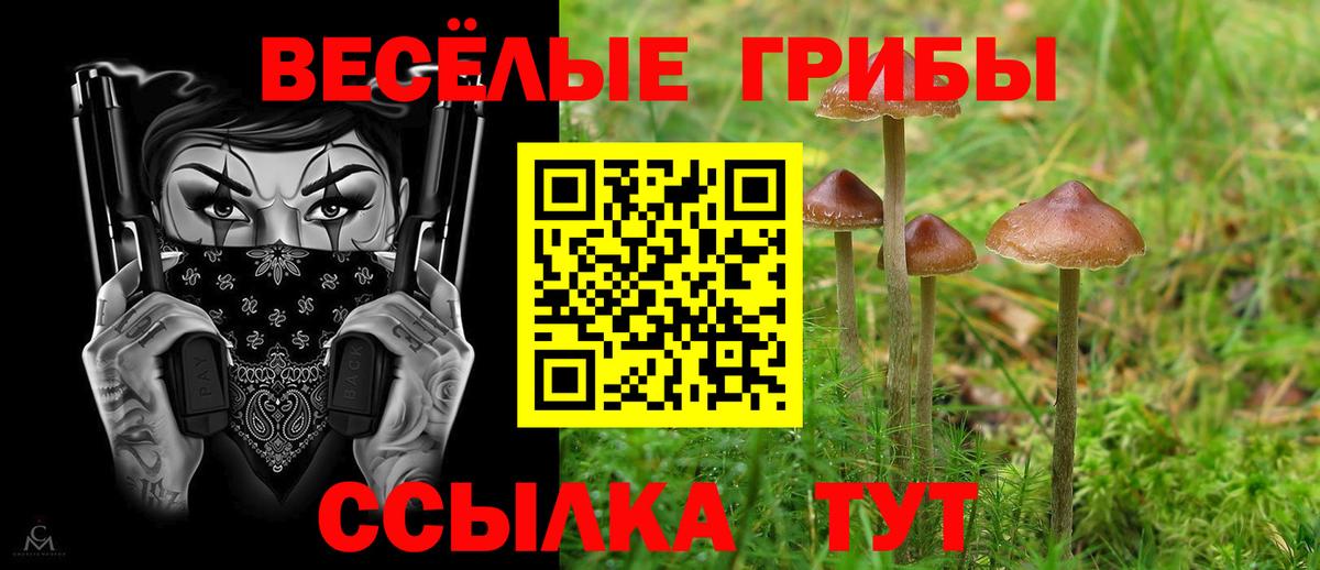 Псилоцибиновые грибы Magic Shrooms Ухта