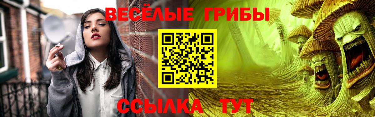 Ухта  Псилоцибиновые грибы Psilocybine cubensis  Вход с VPN  Псилоцибиновые грибы мухоморы 